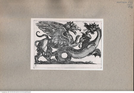Vorderseite von  [http://creativecommons.org/publicdomain/mark/1.0/] Zwei Drachen - , bh074963. Foto.