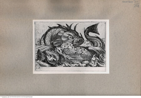 Vorderseite von  [http://creativecommons.org/publicdomain/mark/1.0/] Zwei Fische im Kampf - , bh074964. Foto.