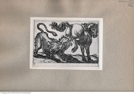 Vorderseite von  [http://creativecommons.org/publicdomain/mark/1.0/] Ein Pferd und ein Löwe - , bh074968. Foto.