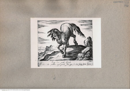 Vorderseite von  [http://creativecommons.org/publicdomain/mark/1.0/] Das Pferd - , bh074972. Foto.