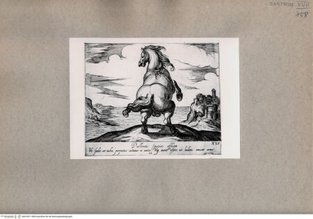 Vorderseite von  [http://creativecommons.org/publicdomain/mark/1.0/] Das Pferd - , bh074977. Foto.