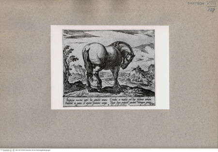 Vorderseite von  [http://creativecommons.org/publicdomain/mark/1.0/] Das Pferd - , bh074978. Foto.