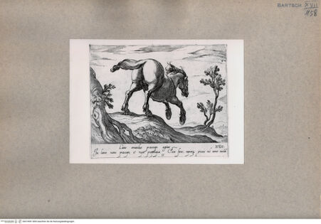 Vorderseite von  [http://creativecommons.org/publicdomain/mark/1.0/] Das Pferd - , bh074981. Foto.