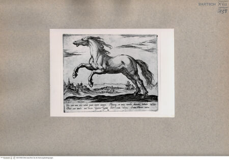 Vorderseite von  [http://creativecommons.org/publicdomain/mark/1.0/] Das Pferd - , bh074983. Foto.