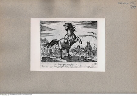 Vorderseite von  [http://creativecommons.org/publicdomain/mark/1.0/] Das Pferd - , bh074984. Foto.