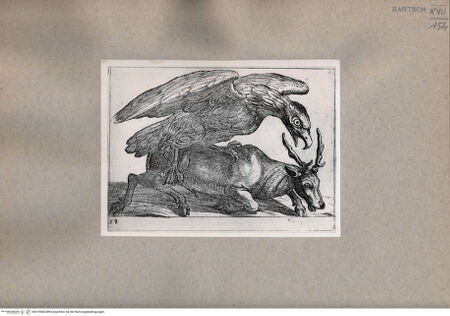 Vorderseite von  [http://creativecommons.org/publicdomain/mark/1.0/] Ein Vogel und ein Hirsch im Kampf - , bh075040. Foto.