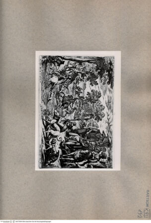 Vorderseite von  [http://creativecommons.org/publicdomain/mark/1.0/] Jagd - , bh075084. Foto.