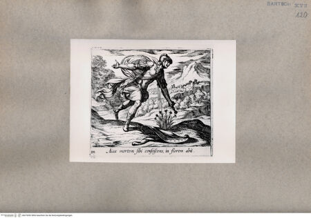 Vorderseite von  [http://creativecommons.org/publicdomain/mark/1.0/] Ovid: Metamorphosen - , bh075092. Foto.