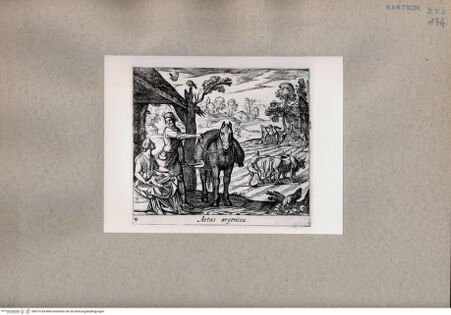 Vorderseite von  [http://creativecommons.org/publicdomain/mark/1.0/] Ovid: Metamorphosen - , bh075104. Foto.