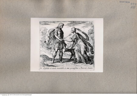 Vorderseite von  [http://creativecommons.org/publicdomain/mark/1.0/] Ovid: Metamorphosen - , bh075122. Foto.