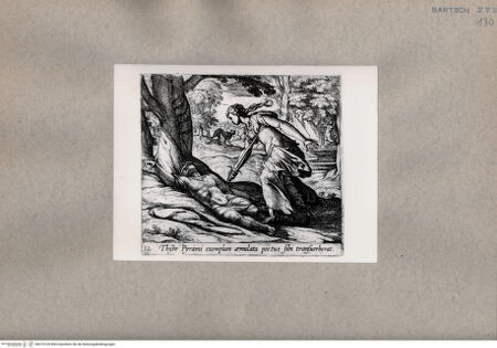 Vorderseite von  [http://creativecommons.org/publicdomain/mark/1.0/] Ovid: Metamorphosen - , bh075124. Foto.