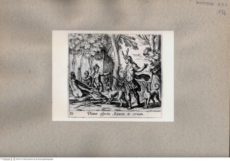 Vorderseite von  [http://creativecommons.org/publicdomain/mark/1.0/] Ovid: Metamorphosen - , bh075131. Foto.