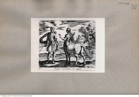 Vorderseite von  [http://creativecommons.org/publicdomain/mark/1.0/] Ovid: Metamorphosen - , bh075139. Foto.