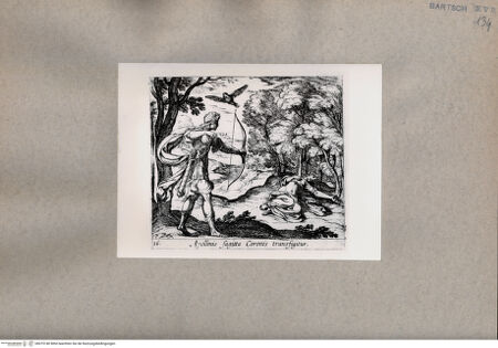 Vorderseite von  [http://creativecommons.org/publicdomain/mark/1.0/] Ovid: Metamorphosen - , bh075140. Foto.