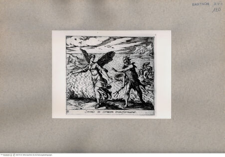 Vorderseite von  [http://creativecommons.org/publicdomain/mark/1.0/] Ovid: Metamorphosen - , bh075141. Foto.