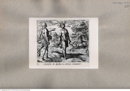 Vorderseite von  [http://creativecommons.org/publicdomain/mark/1.0/] Ovid: Metamorphosen - , bh075145. Foto.