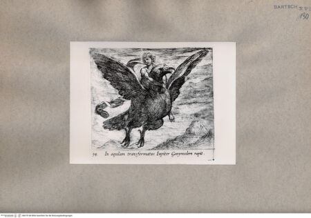 Vorderseite von  [http://creativecommons.org/publicdomain/mark/1.0/] Ovid: Metamorphosen - , bh075146. Foto.