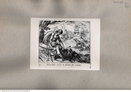 Vorderseite von  [http://creativecommons.org/publicdomain/mark/1.0/] Ovid: Metamorphosen - , bh075147. Foto.