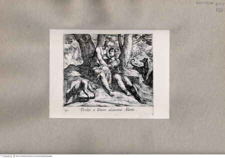 Vorderseite von  [http://creativecommons.org/publicdomain/mark/1.0/] Ovid: Metamorphosen - , bh075148. Foto.