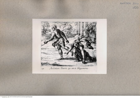 Vorderseite von  [http://creativecommons.org/publicdomain/mark/1.0/] Ovid: Metamorphosen - , bh075149. Foto.