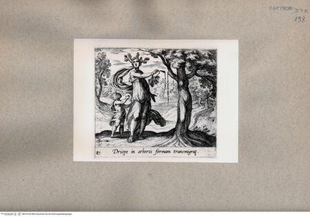 Vorderseite von  [http://creativecommons.org/publicdomain/mark/1.0/] Ovid: Metamorphosen - , bh075166. Foto.