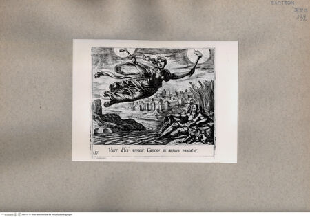 Vorderseite von  [http://creativecommons.org/publicdomain/mark/1.0/] Ovid: Metamorphosen - , bh075171. Foto.