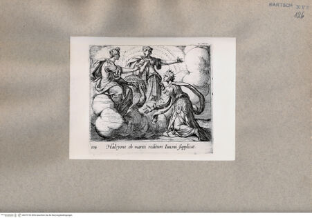 Vorderseite von  [http://creativecommons.org/publicdomain/mark/1.0/] Ovid: Metamorphosen - , bh075193. Foto.