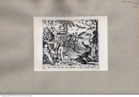 Vorderseite von  [http://creativecommons.org/publicdomain/mark/1.0/] Ovid: Metamorphosen - , bh075203. Foto.