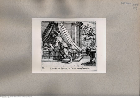 Vorderseite von  [http://creativecommons.org/publicdomain/mark/1.0/] Ovid: Metamorphosen - , bh075211. Foto.