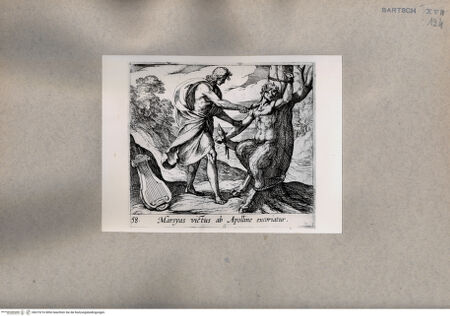 Vorderseite von  [http://creativecommons.org/publicdomain/mark/1.0/] Ovid: Metamorphosen - , bh075216. Foto.