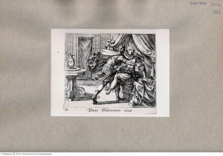 Vorderseite von  [http://creativecommons.org/publicdomain/mark/1.0/] Ovid: Metamorphosen - , bh075217. Foto.