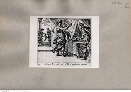 Vorderseite von  [http://creativecommons.org/publicdomain/mark/1.0/] Ovid: Metamorphosen - , bh075218. Foto.