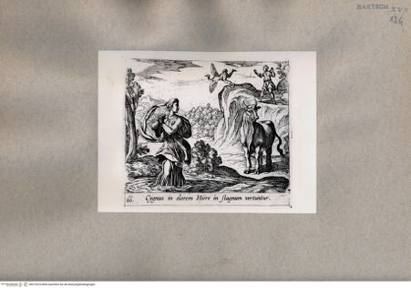 Vorderseite von  [http://creativecommons.org/publicdomain/mark/1.0/] Ovid: Metamorphosen - , bh075224. Foto.