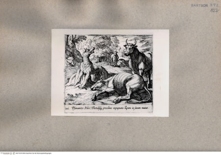 Vorderseite von  [http://creativecommons.org/publicdomain/mark/1.0/] Ovid: Metamorphosen - , bh075235. Foto.