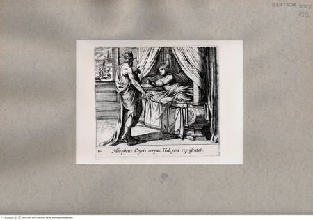 Vorderseite von  [http://creativecommons.org/publicdomain/mark/1.0/] Ovid: Metamorphosen - , bh075238. Foto.