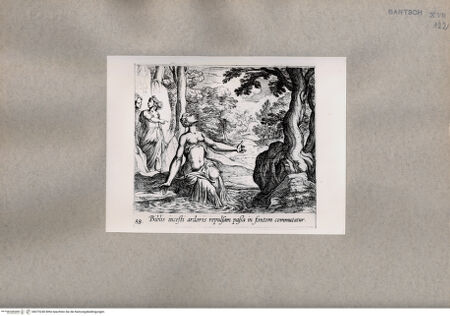 Vorderseite von  [http://creativecommons.org/publicdomain/mark/1.0/] Ovid: Metamorphosen - , bh075240. Foto.