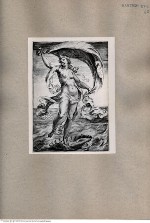 Vorderseite von  [http://creativecommons.org/publicdomain/mark/1.0/] Venus - , bh075258. Foto.