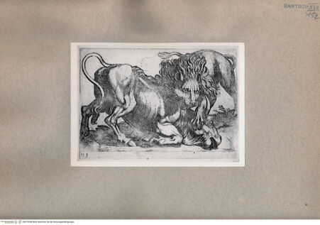 Vorderseite von  [http://creativecommons.org/publicdomain/mark/1.0/] Kampf zwischen einem Löwen und einem Stier - , bh075288. Foto.