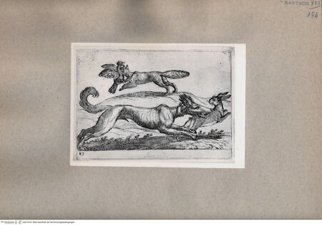 Vorderseite von  [http://creativecommons.org/publicdomain/mark/1.0/] Tiere im Kampf - , bh075291. Foto.