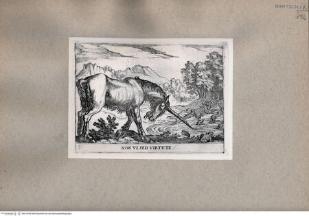 Vorderseite von  [http://creativecommons.org/publicdomain/mark/1.0/] Einhorn - , bh075298. Foto.