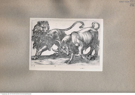 Vorderseite von  [http://creativecommons.org/publicdomain/mark/1.0/] Kampf zwischen einem Löwen und einem Stier - , bh075300. Foto.