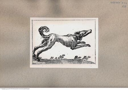 Vorderseite von  [http://creativecommons.org/publicdomain/mark/1.0/] Hund - , bh075306. Foto.