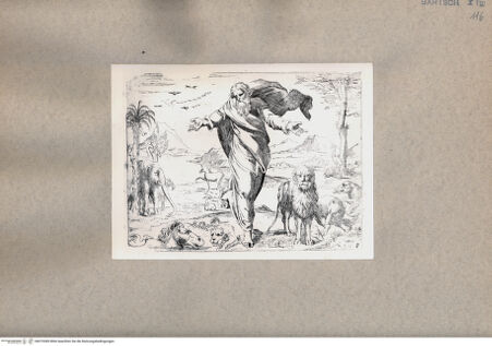 Vorderseite von  [http://creativecommons.org/publicdomain/mark/1.0/] Die Erschaffung der Tiere - , bh075389. Foto.