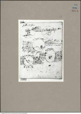 Vorderseite von bh075733_recto