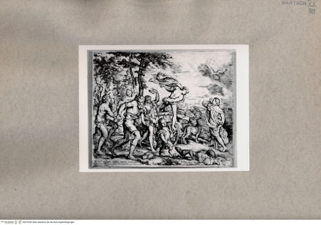 Vorderseite von  [http://creativecommons.org/publicdomain/mark/1.0/] Bacchus - , bh076282. Foto.