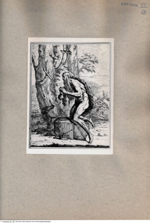 Vorderseite von  [http://creativecommons.org/publicdomain/mark/1.0/] Heiliger Hieronymus - , bh076287. Foto.