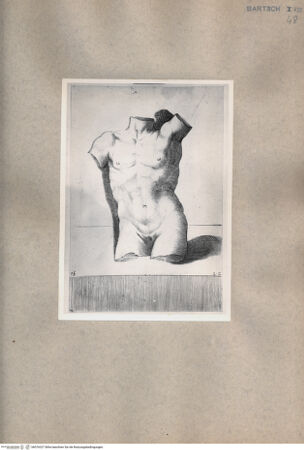 Vorderseite von  [http://creativecommons.org/publicdomain/mark/1.0/] Männlicher torso - , bh076327. Foto.
