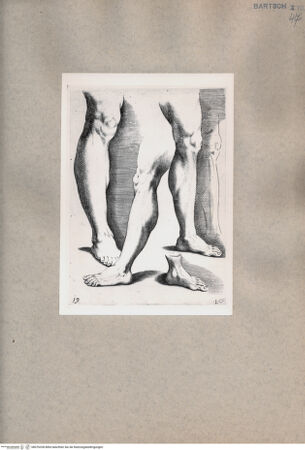 Vorderseite von  [http://creativecommons.org/publicdomain/mark/1.0/] Studie zu drei Beinen und einem Fuß - , bh076328. Foto.