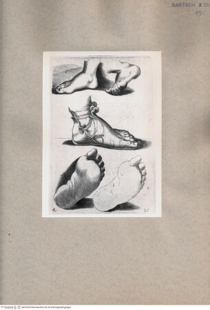 Vorderseite von  [http://creativecommons.org/publicdomain/mark/1.0/] Fußstudie - , bh076329. Foto.