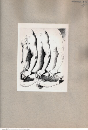 Vorderseite von  [http://creativecommons.org/publicdomain/mark/1.0/] Armstudie - , bh076330. Foto.